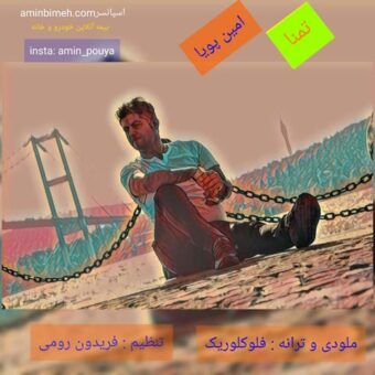 دانلود آهنگ امین پویا به نام تمنا
