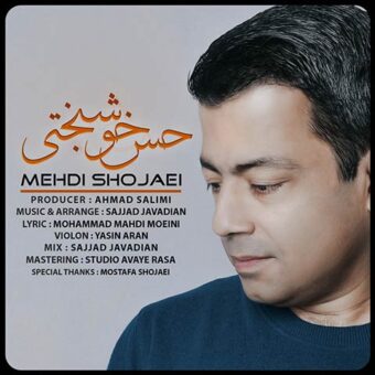 دانلود آهنگ مهدی شجاعی به نام حس خوشبختی