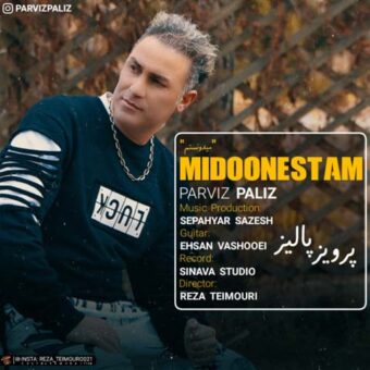 دانلود آهنگ پرویز پالیز به نام میدونستم