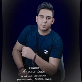 دانلود آهنگ حسین طبا به نام برگرد
