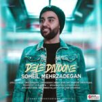 دانلود آهنگ سهیل مهرزادگان به نام دل دیوونه
