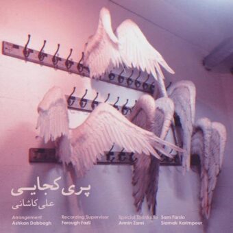 دانلود آهنگ علی کاشانی به نام پری کجایی