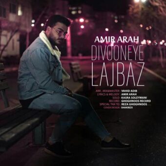 دانلود آهنگ امیر آراه به نام دیوونه ی لجباز