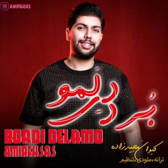 دانلود آهنگ امیر احساس به نام بردی دلمو