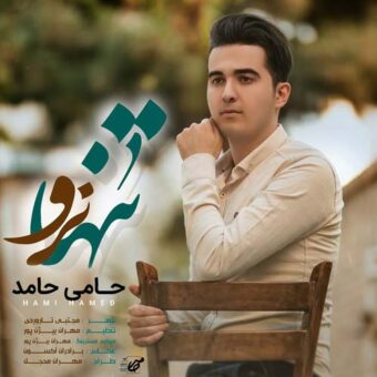 دانلود آهنگ حامی حامد به نام تنها نرو