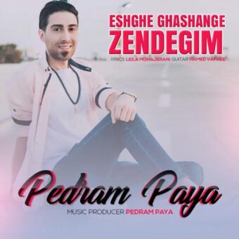 دانلود آهنگ پدرام پایا به نام عشق قشنگ زندگیم