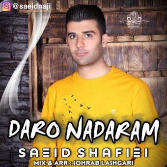 دانلود آهنگ سعید شفیعی به نام دار و ندارم