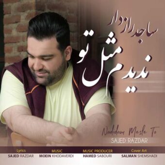 دانلود آهنگ ساجد رازدار به نام ندیدم مثل تو