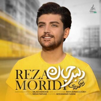 دانلود آهنگ رضا مریدی به نام دلبر جان