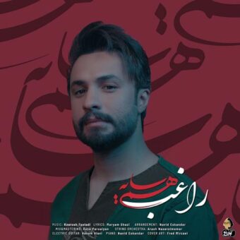 دانلود آهنگ راغب به نام هم سایه