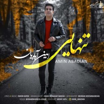 دانلود آهنگ امین آبادیان به نام تنهایی