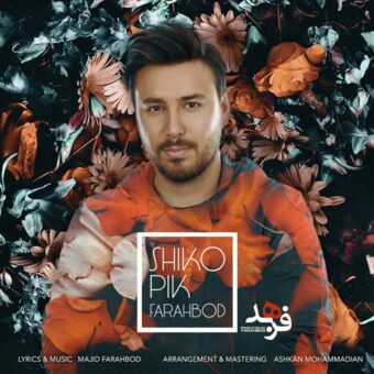 دانلود آهنگ فرهبد به نام شیک و پیک