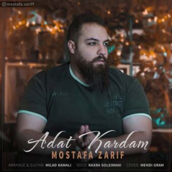 دانلود آهنگ مصطفی ظریف به نام عادت کردم