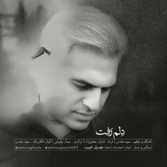 دانلود آهنگ مهران غریب به نام دلم رفت