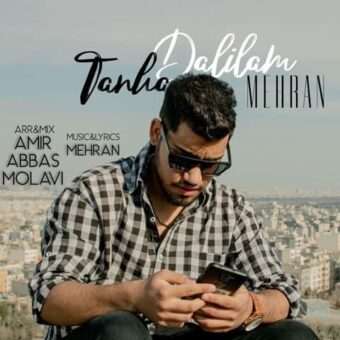 دانلود آهنگ مهران نیکوزاده به نام تنها دلیلم