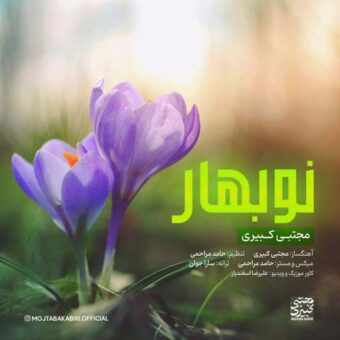 دانلود آهنگ مجتبی کبیری به نام عیدانه