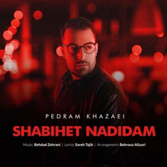 دانلود آهنگ پدرام خزاعی به نام شبیهت ندیدم