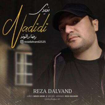دانلود آهنگ رضا دالوند به نام ندیدی