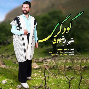 دانلود آهنگ شهرام شهپری به نام گووگری
