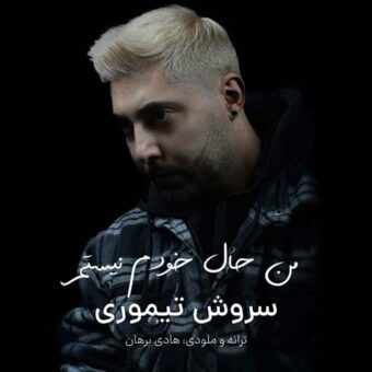 دانلود آهنگ سروش تیموری به نام من حال خودم نیستم