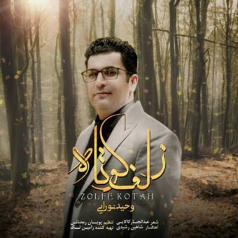 دانلود آهنگ وحید نورایی به نام زلف کوتاه