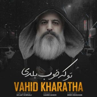 دانلود آهنگ وحید خراطها به نام تو که خوب بلدی