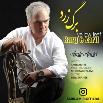 دانلود آهنگ امیر امیری به نام برگ زرد