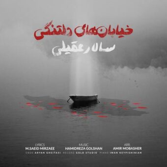 دانلود آهنگ سالار عقیلی به نام خیابان های دلتنگی