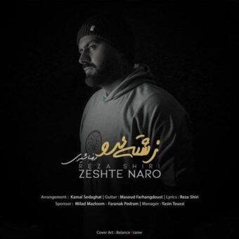 دانلود آهنگ رضا شیری به نام به نام زشته نرو