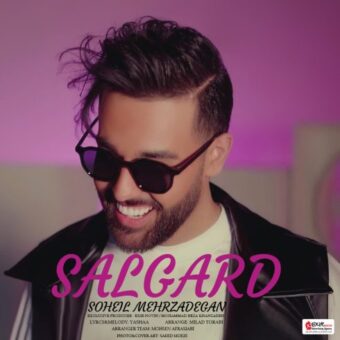 دانلود آهنگ سهیل مهرزادگان – سالگرد