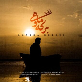 دانلود آهنگ گرشا رضایی به نام قصه برکه و ماهی