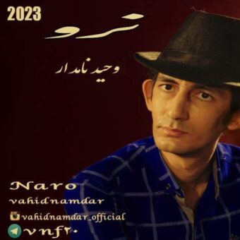 دانلود آهنگ وحید نامدار به نام نرو