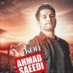 دانلود آهنگ احمد سعیدی به نام ناز نکن / دل به دل راه نداره مگه چرا من دلم تنگه