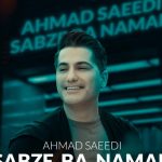 دانلود آهنگ احمد سعیدی به نام سبزه بانمک / بی خبر نذاریم از خودت ندی