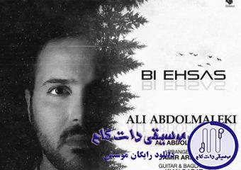 دانلود آهنگ علی عبدالمالکی به نام بی احساس / منو نمیشناسی , بس که بی احساسی