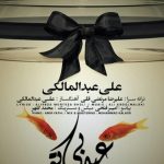 دانلود آهنگ علی عبدالمالکی به نام عید بی تو / این اولین عیدیه که نیستی کنارم