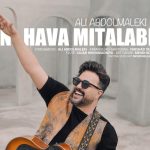 دانلود آهنگ علی عبدالمالکی به نام این هوا میطلبه / این هوا میطلبه  بزنیم تو دل خیابون