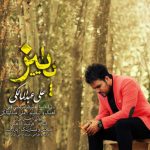 دانلود آهنگ علی عبدالمالکی به نام پاییز / پاییز یعنی من تک و تنهام یعنی تو رفتی تو