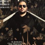 دانلود آهنگ علی عبدالمالکی به نام تو بارون / همیشه تو فکر اینم که تو رو من در آینده