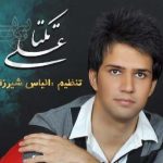 دانلود آهنگ علی زیبایی به نام بهونه