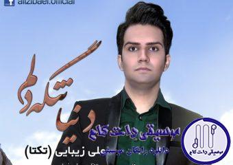 دانلود آهنگ علی زیبایی به نام دنیا تنگ دلم