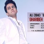 دانلود آهنگ علی زیبایی به نام غریبه شو / راهتو سد نمیکنم نمیگم از اینجا نرو