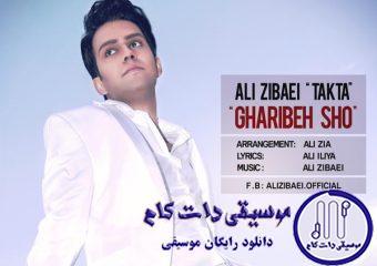 دانلود آهنگ علی زیبایی به نام غریبه شو / راهتو سد نمیکنم نمیگم از اینجا نرو