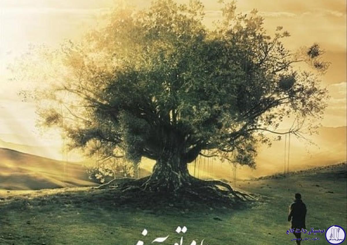 دانلود آهنگ علیرضا قربانی به نام در زلف تو آویزم / بیم است که سودایت دیوانه کند ما را
