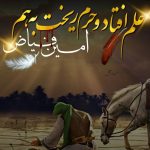 دانلود آهنگ امین فیاض به نام علم افتاد و حرم ریخت به هم / ای همه دلخوشی اهل حرم