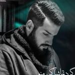 دانلود آهنگ امین فیاض به نام برگرد تماشا کن منو / با هر صدایی که شبیهت بود