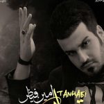 دانلود آهنگ امین فیاض به نام تنهایی / واسه تو میخونم میخوام پیشت بمونم