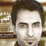 دانلود آهنگ امین حبیبی به نام عاشق نشو / عاشق که بشی حالت میشه مثل من