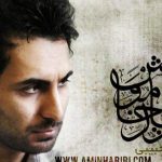 دانلود آهنگ امین حبیبی به نام فریاد خاموش / یکی سیر اب یکی تشنه یکی تو دستشه دشنه