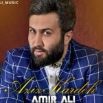 دانلود آهنگ امیر علی به نام عزیز کرده / این چه احساسیه که حال و هوامو به تو داد و